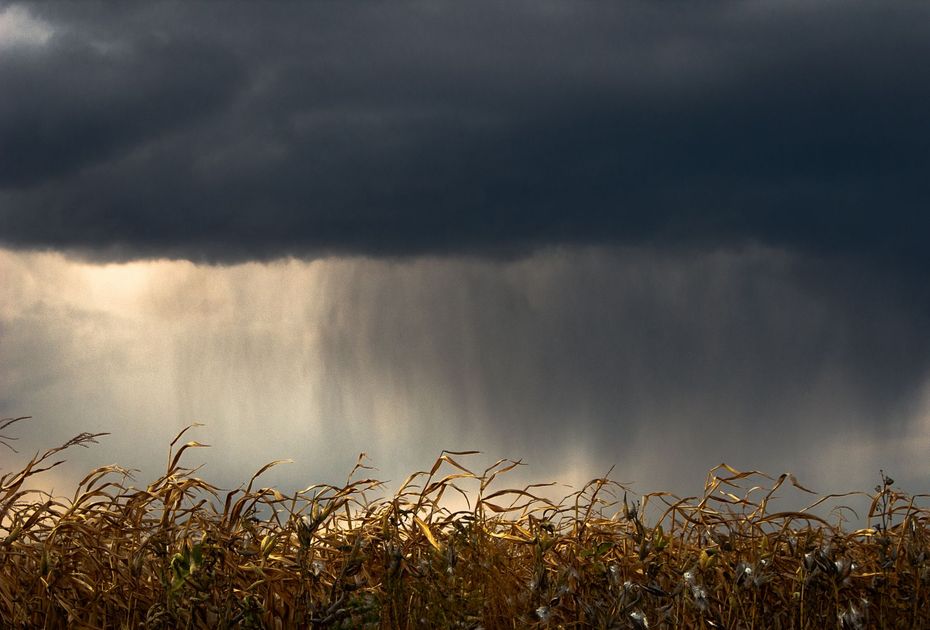 Alerta Senamhi: Fuertes lluvias impactarán 7 regiones costeras hasta el 16 de octubre